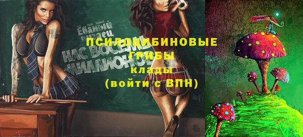эйфоретик Зерноград